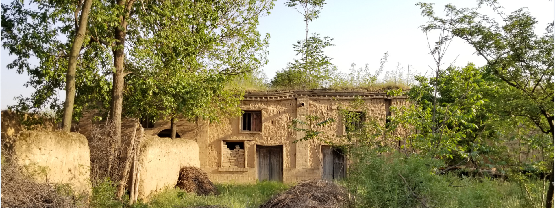 时间：2020.05.01 地点：陕西.白水.老家